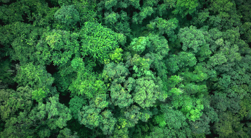 Sustainability